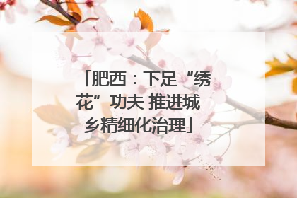肥西：下足“绣花”功夫 推进城乡精细化治理