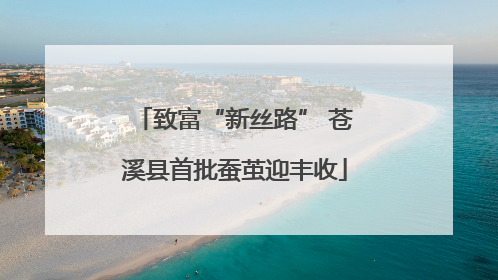 致富“新丝路” 苍溪县首批蚕茧迎丰收