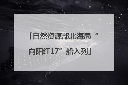 自然资源部北海局“向阳红17”船入列