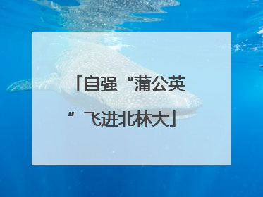 自强“蒲公英”飞进北林大