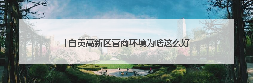 自贡高新区营商环境为啥这么好？对标昆山“昆如意”打造自贡“高兴办”｜美好生活有“盐”味