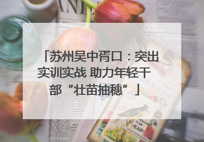 苏州吴中胥口：突出实训实战 助力年轻干部“壮苗抽穗”