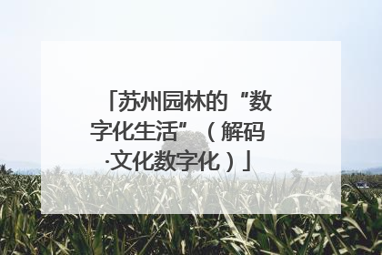 苏州园林的“数字化生活”（解码·文化数字化）