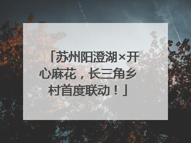 苏州阳澄湖×开心麻花，长三角乡村首度联动！