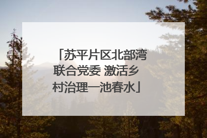 苏平片区北部湾联合党委 激活乡村治理一池春水