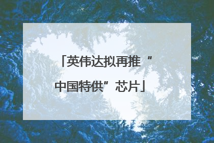英伟达拟再推“中国特供”芯片