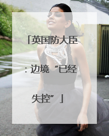 英国防大臣：边境“已经失控”