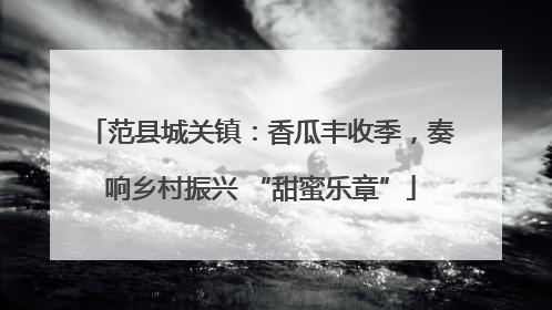 范县城关镇：香瓜丰收季，奏响乡村振兴 “甜蜜乐章”