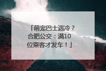 萌宠巴士遇冷？合肥公交：满10位乘客才发车！