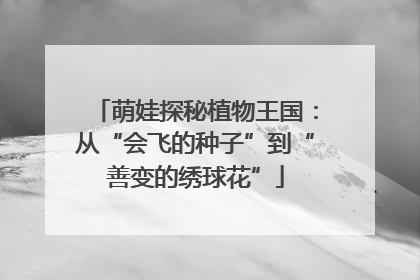 萌娃探秘植物王国：从“会飞的种子”到“善变的绣球花”