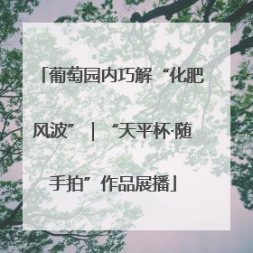 葡萄园内巧解“化肥风波”｜“天平杯·随手拍”作品展播