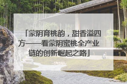蒙阴育桃韵，甜香溢四方——看蒙阴蜜桃全产业链的创新崛起之路