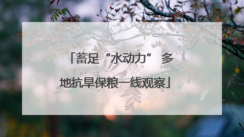 蓄足“水动力” 多地抗旱保粮一线观察