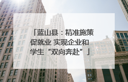 蓝山县：精准施策促就业 实现企业和学生“双向奔赴”