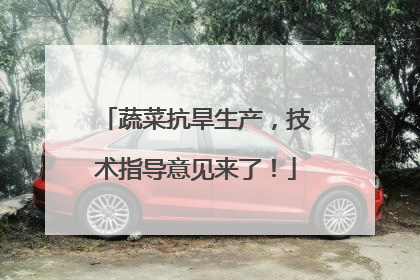蔬菜抗旱生产，技术指导意见来了！
