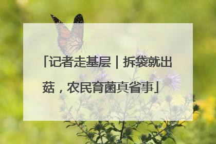 记者走基层｜拆袋就出菇，农民育菌真省事