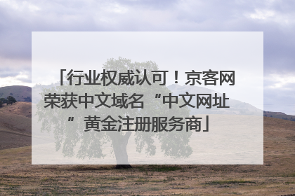 行业权威认可！京客网荣获中文域名“中文网址”黄金注册服务商
