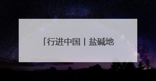 行进中国丨盐碱地上“渔歌”嘹亮