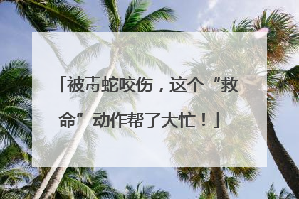 被毒蛇咬伤，这个“救命”动作帮了大忙！
