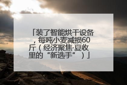 装了智能烘干设备，每吨小麦减损60斤（经济聚焦·夏收里的“新选手”）