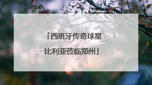 西班牙传奇球星 比利亚莅临郑州