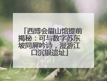 西博会眉山馆提前揭秘：可与数字苏东坡同屏吟诗，漫游江口沉银遗址