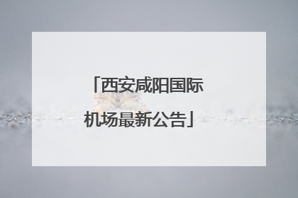 西安咸阳国际机场最新公告