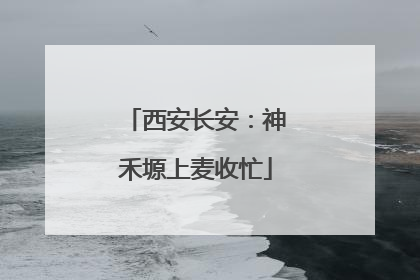 西安长安：神禾塬上麦收忙