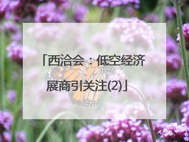 西洽会：低空经济展商引关注(2)