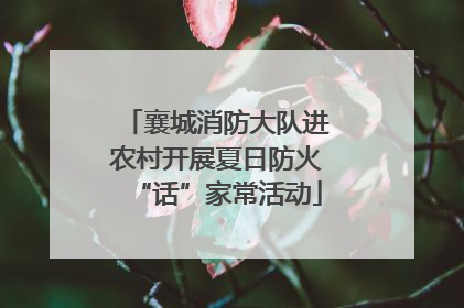 襄城消防大队进农村开展夏日防火“话”家常活动