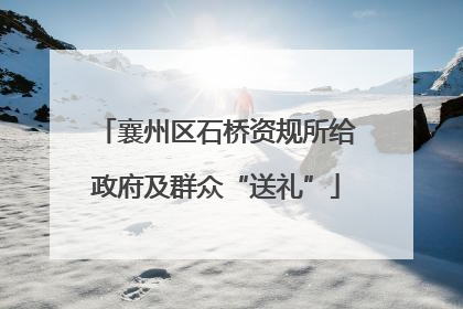 襄州区石桥资规所给政府及群众“送礼”