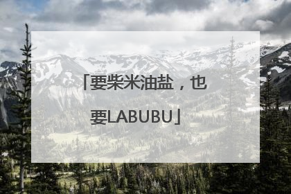 要柴米油盐，也要LABUBU