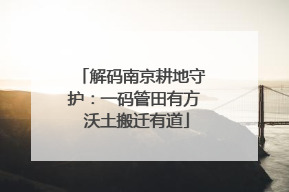 解码南京耕地守护：一码管田有方 沃土搬迁有道