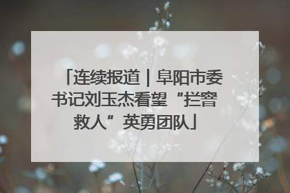 连续报道｜阜阳市委书记刘玉杰看望“拦窨救人”英勇团队