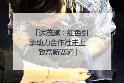 达茂旗：红色引擎助力合作社走上致富新赛道