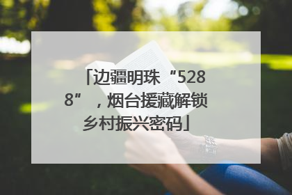 边疆明珠“5288”，烟台援藏解锁乡村振兴密码