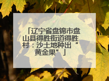 辽宁省盘锦市盘山县得胜街道得胜村：沙土地种出“黄金果”