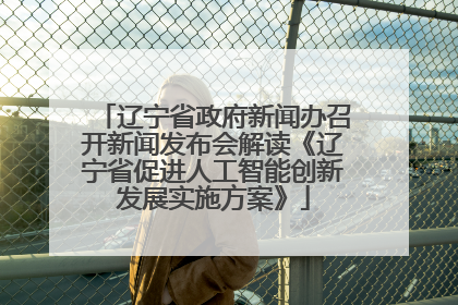 辽宁省政府新闻办召开新闻发布会解读《辽宁省促进人工智能创新发展实施方案》