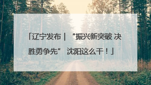 辽宁发布｜“振兴新突破 决胜勇争先” 沈阳这么干！