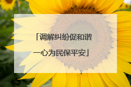 调解纠纷促和谐 一心为民保平安