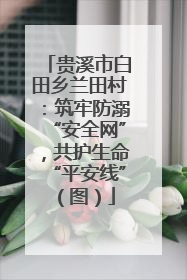 贵溪市白田乡兰田村：筑牢防溺“安全网”，共护生命“平安线”（图）