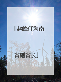 赵峰任海南省副省长