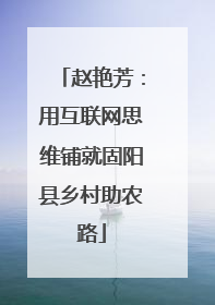 赵艳芳：用互联网思维铺就固阳县乡村助农路