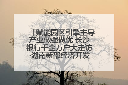 赋能园区引擎主导产业做强做优 长沙银行千企万户大走访·湖南新邵经济开发区专场活动举行
