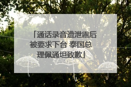 通话录音遭泄露后被要求下台 泰国总理佩通坦致歉
