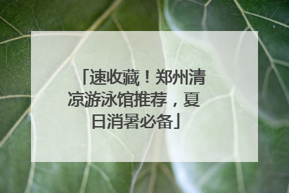 速收藏！郑州清凉游泳馆推荐，夏日消暑必备