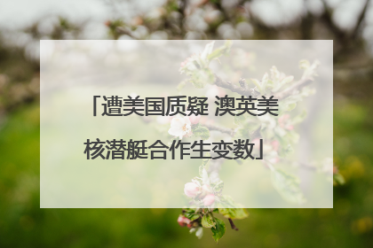 遭美国质疑 澳英美核潜艇合作生变数
