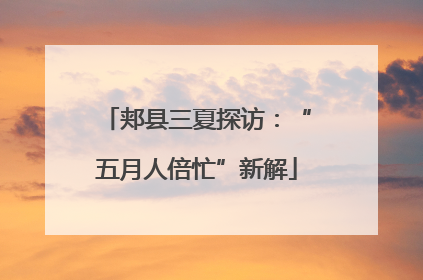 郏县三夏探访：“五月人倍忙”新解