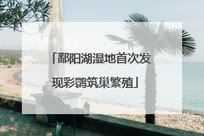 鄱阳湖湿地首次发现彩鹮筑巢繁殖
