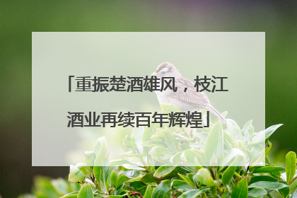 重振楚酒雄风，枝江酒业再续百年辉煌